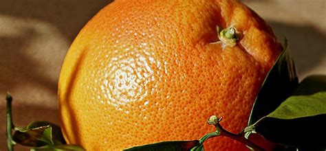 Découpez Une Orange Pour La Déguster Une Méthode Simple Et Présentable