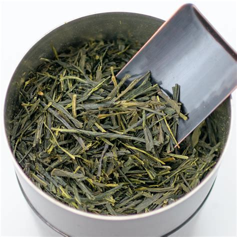 A Basic Guide To Japanese Sencha Green Tea
