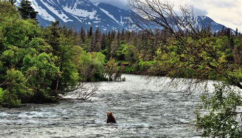 Katmai National Park And Preserve Alaska 7 Gorgeous And