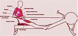 Rowing Core Muscles Photos
