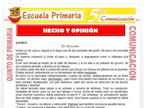 Hecho Y Opinión Para Quinto De Primaria Escuela Primaria