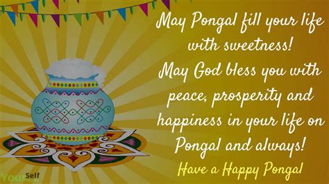 In this post, i will share here some latest pongal wishes images in telugu, pongal wishes in telugu, pongal images in telugu and much more so guys check out and if you like to download it and share with your family and friends. Happy Pongal Festival Wishes, Messages, Greetings, with images