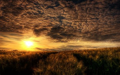 Sunset Field With Dry Grass Sunlight Sky With Dark Clouds Hd 1920x1200