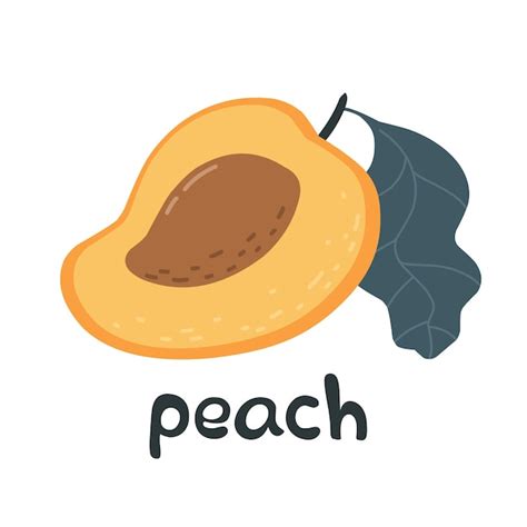 Premium Vector Bright Creative Peach With The Word Peach Vector