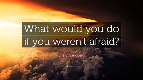 The mission of a thought is to fulfill the intent of the if you want to know who you really are, look at your daily schedule, those things you actually do everyday. Sheryl Sandberg Quote: "What would you do if you weren't afraid?" (25 wallpapers) - Quotefancy