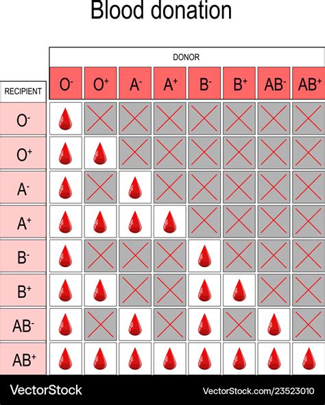Chart Of Blood Types Donors And Recipients