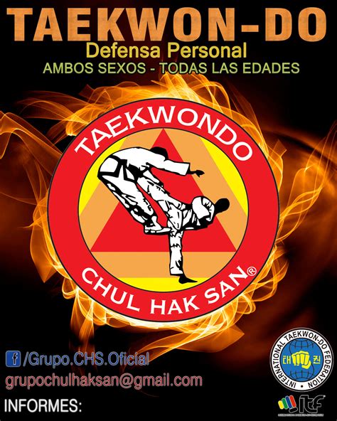 Banner Taekwondo Chs By Nickykirei On Deviantart