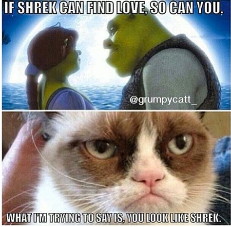 To quote donkey, you cut me deep, shrek. 29 best Shrek The Musical images on Pinterest | Shrek ...