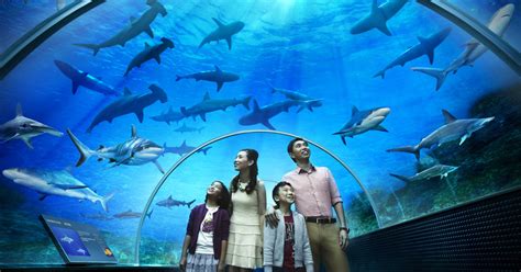Singapore Sea Aquarium 1 Day Pass With Hotel Pickup