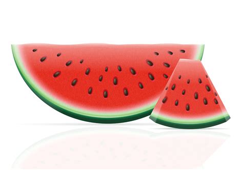 Watermelon Ripe Juicy Vector Illustration 492723 Vector Art At Vecteezy