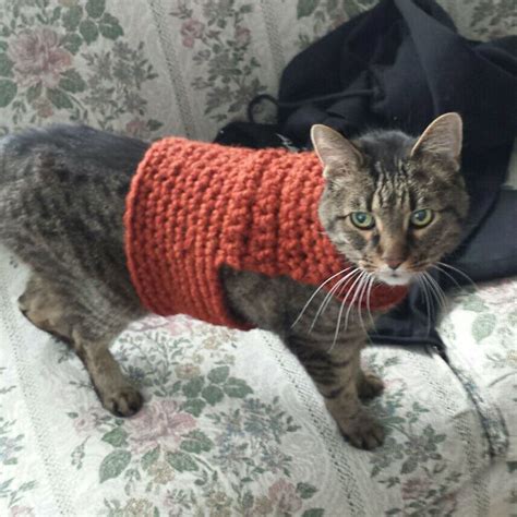 Quick Crochet Cat Sweater With Bulky Weight Yarn Cat Sweater Pattern