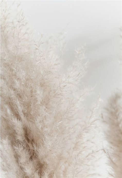 Maybe you would like to learn more about one of these? Beige Aesthetic Wallpaper - EnJpg
