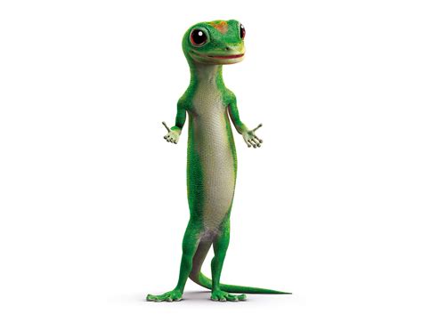 Geico provides car insurance to millions of drivers across the united states. GEICO Gecko - American Profile