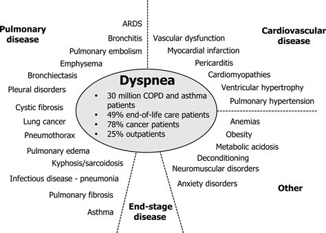 Dyspnea Pulmonary Physiology For Pre Clinical Students