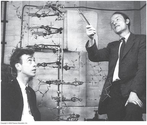 February 28th 1953 Watson And Crick Discover Dna