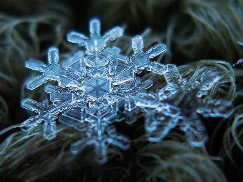 Amazing Close Up Photos Of Snowflakes Will Give You Goosebumps If It