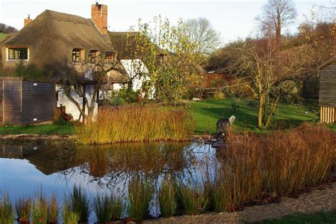 Gartenart | Portfolio | Swimming Pond, Berkshire