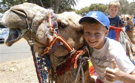 E.g., on openshift container platform. Father and son run camel rides at Capricorn Coast ...