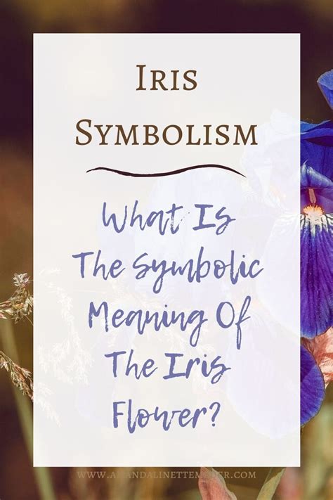 What Is The Symbolic Meaning Of The Iris Flower — Amanda Linette Meder