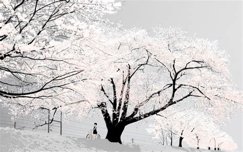 Wallpaper Trees Bicycle Snow Winter Branch Frost Cherry Blossom