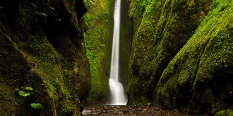 Columbia Gorge Trail Oneonta Gorge To Lower Oneonta Falls Closed