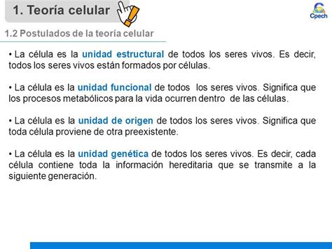 Postulados De La Teoria Celular Dinami