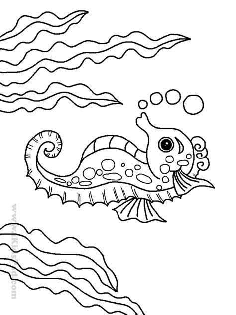 Cute Seahorse Coloring Pages Color Itu Warna