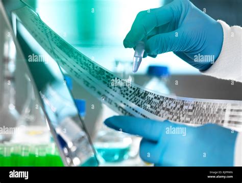 Dna Gel In Lab Hi Res Stock Photography And Images Alamy