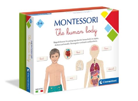 Montessori Games The Human Body Quality Educational Material Kid