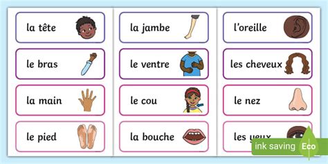 Parts Of The Body In French French Language Twinkl