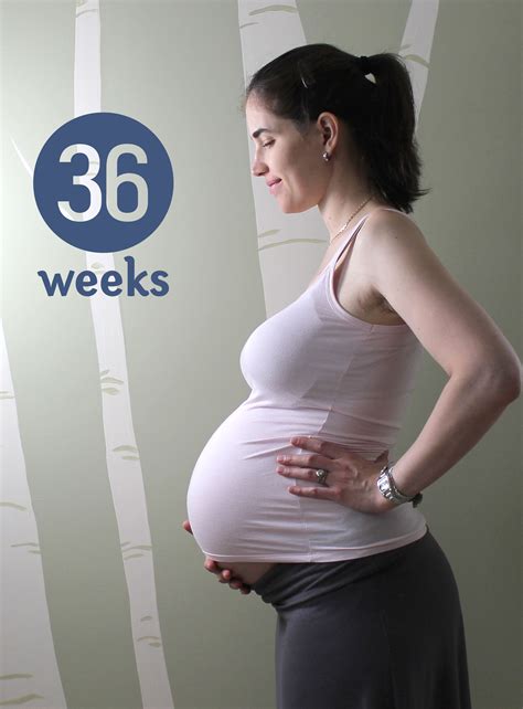 Pics Photos Your Pregnancy 36 Weeks