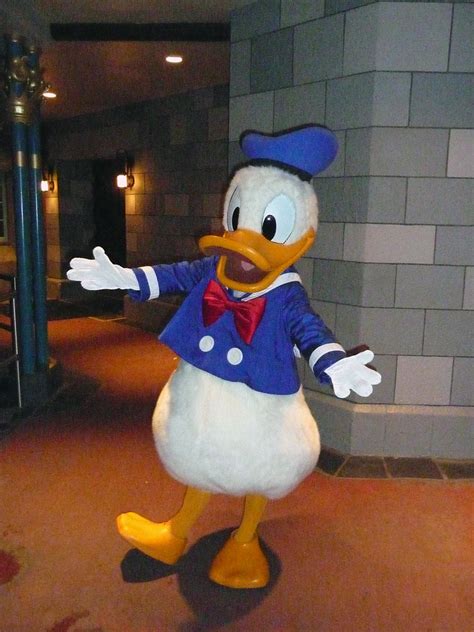 Meeting Donald Duck Magic Kingdom Walt Disney World Resor Flickr