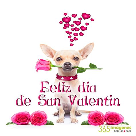 365 ImÁgenes De San ValentÍn Románticas Frases De Amor 2021