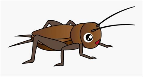 Cricket Insect Clipart Png Cricket Insect Clipart Free Transparent