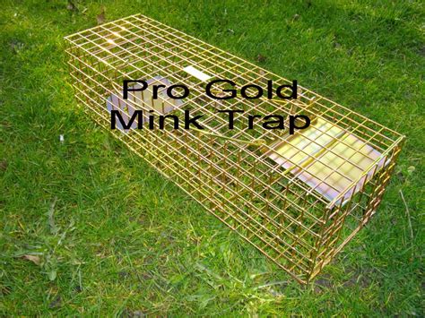 Pro Gold Mink Trap When Only The Best Trap Will Do Trap Man Mink