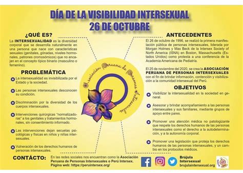 26 Octubre Día De La Visibilidad Intersexual Asociación Peruana De