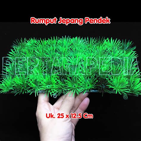 Pada saat membangun dinding rumah, berikan beberapa akan tetapi, dinding seperti ini memiliki kelemahan, yaitu kamu harus rajin membersihkan rumput ini secara berkala. Jual RUMPUT ARTIFICIAL - RUMPUT AQUARIUM - RUMPUT BUATAN ...