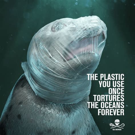 Sea Shepherd Urges Plastic Awareness 03082019