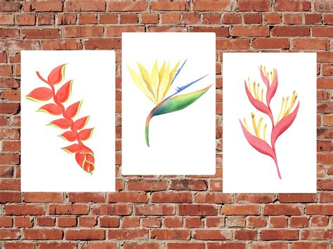 Tropical Flowers Printable Art Flower Set Of 3 Prints Bird Etsy