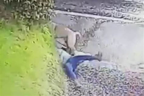 Moment Woman Is Pulled To The Floor And Dragged Across The Road By Her