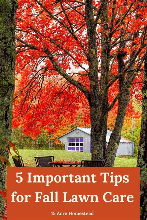 5 Important Tips For Fall Lawn Care Fall Lawn Fall Lawn Care Lawn Care