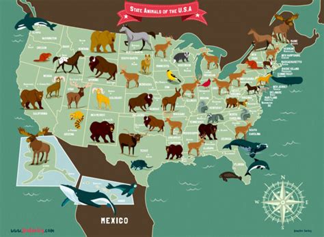 State Animals Of The Usa Illustrated Map Jennifer Farley