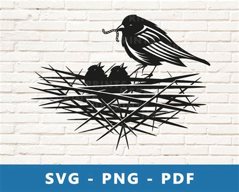 Bird Nest SVG Bird Nest PNG Bird Nest Cut File Bird Nest 