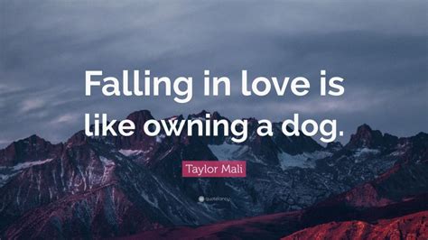 Taylor Mali Quote “falling In Love Is Like Owning A Dog”