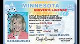 Renew Drivers License Mi Online