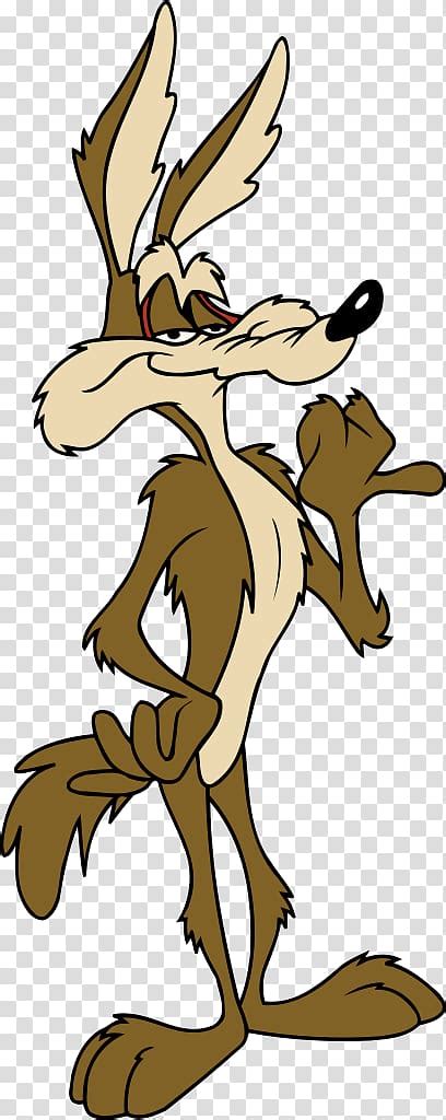 Wile E Coyote And The Road Runner Looney Tunes Cartoon Others