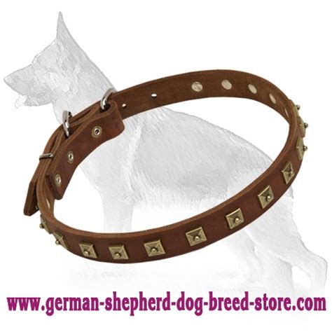 Brass Studded Leather Dog Collar German Shepherd Breed Dog Harness