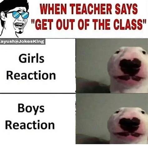 Get Out Of Class Nelson The Bull Terrier Walter Know Your Meme