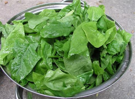 Beri secukupnya pewarna makanan, aduk rata kemudian diamkan 45 menit. Ingin Sehat? Gunakan 7 Bahan Pewarna Alami Ini Untuk Kue ...