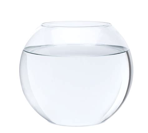 Empty Fish Bowl With Water In Front Of White Background Studio